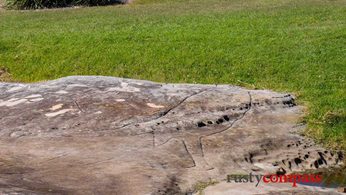 Stone carvings on the Ben Buckler headland